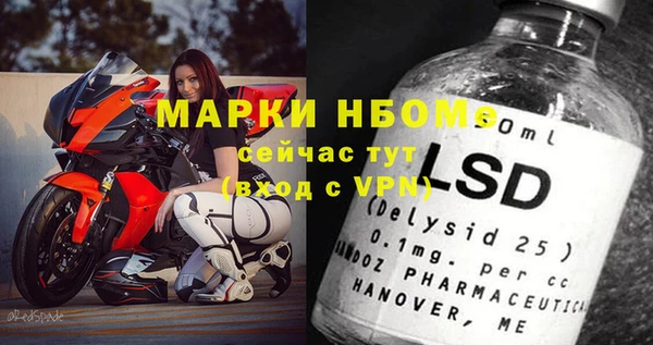 ECSTASY Алзамай