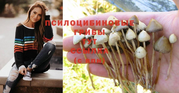 ECSTASY Алзамай