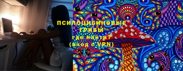 молекула духа Алексин