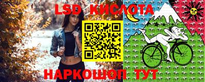 mdpv Донской