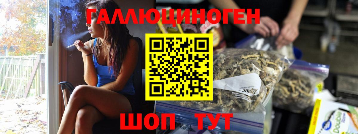 Курчалой  Псилоцибиновые грибы Cubensis  Вход с VPN 