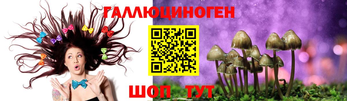 Псилоцибиновые грибы мицелий Курчалой